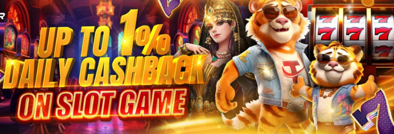 mega hoki